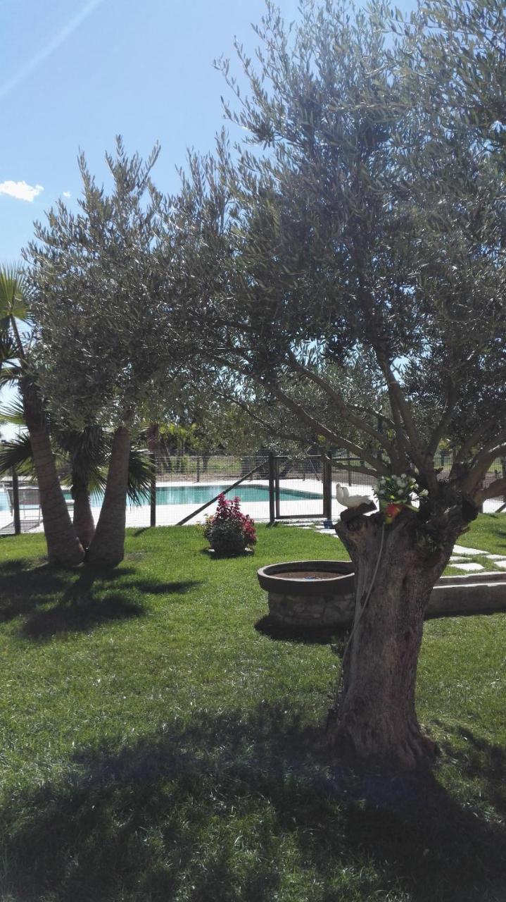 Agriturismo San Gallo Strassoldo Bagian luar foto