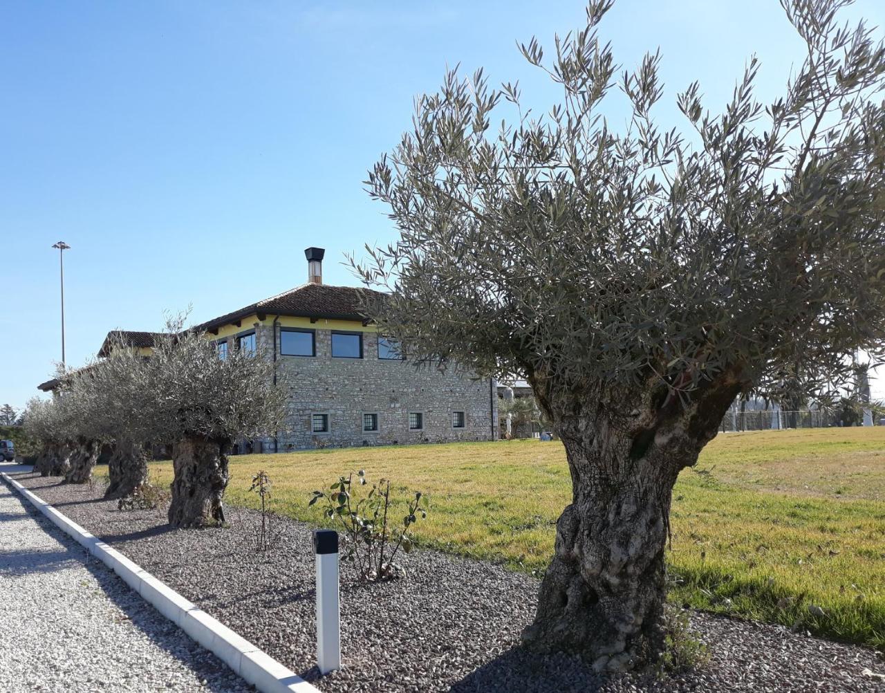 Agriturismo San Gallo Strassoldo Bagian luar foto